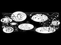 Elaborazione grafica Giacomo Guidetti
