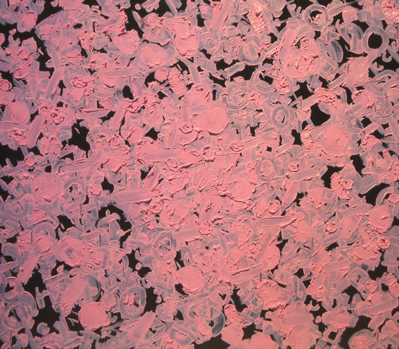 Un po' s�, un po' no